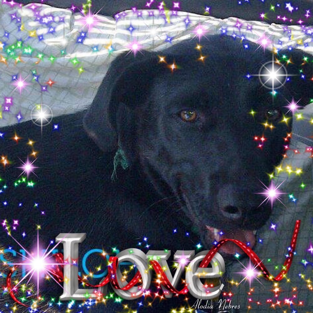 Meet your Posher, Brenda